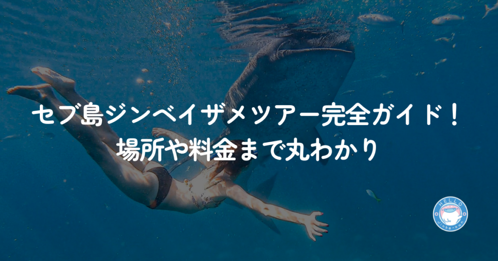 セブ島　ジンベイザメツアーとは