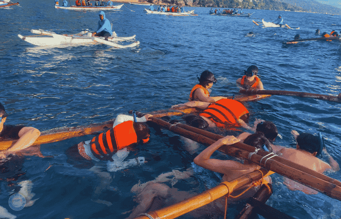 セブ ジンベイザメツアー