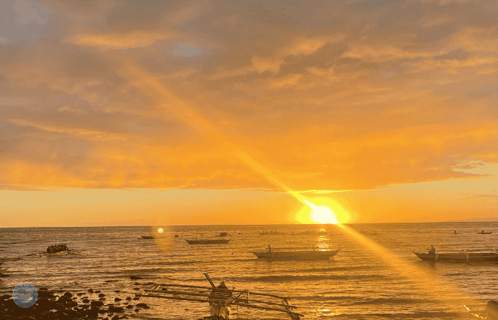 セブ　ジンベイザメツアー