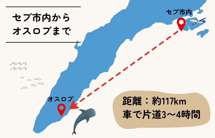 ジンベイザメ　オスロブ　場所
