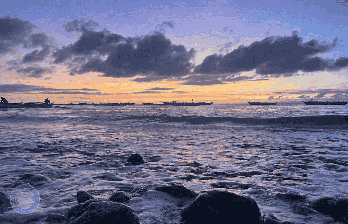 セブ島　ジンベイザメ　待ち時間