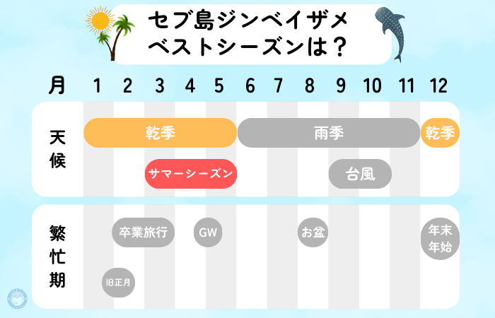 セブ島　ジンベイザメ　時期