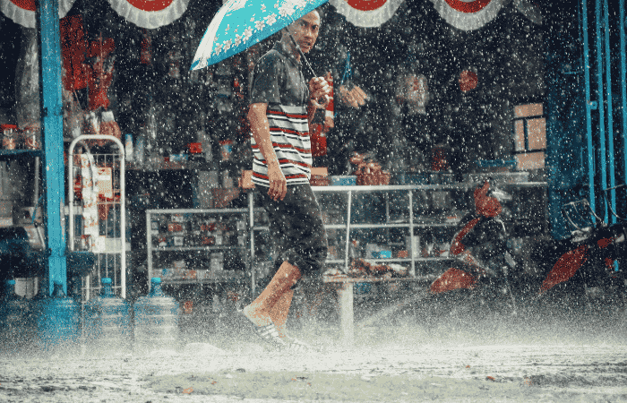 セブ島　ジンベイザメ　雨季