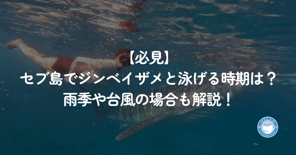 【必見】セブ島でジンベイザメと泳げる時期は？雨季や台風の場合も解説！