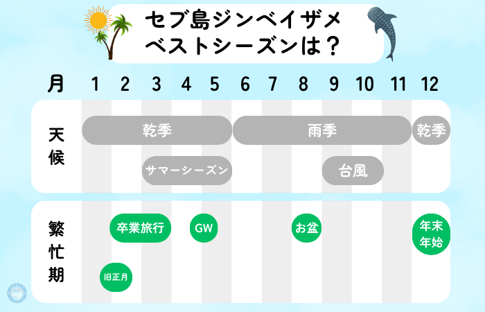 セブ島　ジンベイザメ　時期