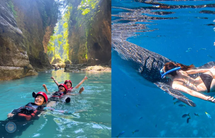 セブ島　ジンベイザメ　カワサン滝ツアー