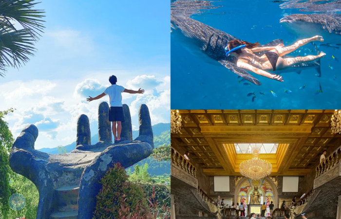 ジンベイザメ＋セブ市内観光ツアー