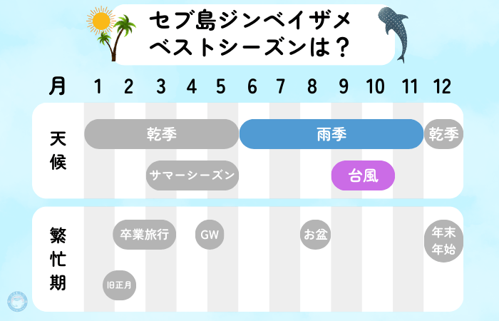 セブ島　ジンベイザメ　時期