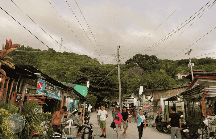オスロブ　ジンベイザメツアー