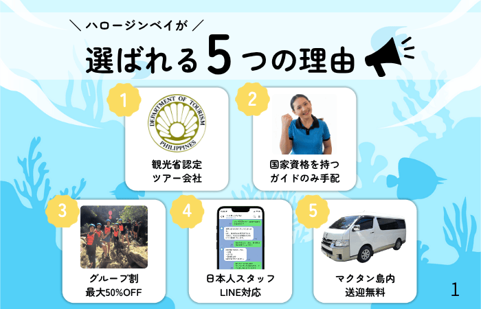 ハロージンベイ　選ばれる理由