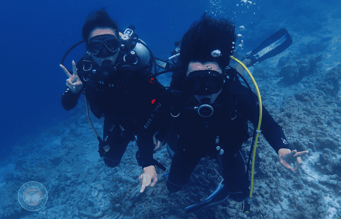 セブ　スミロン島　ダイビング