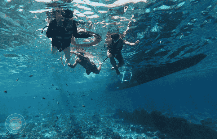 セブ島 アイランドホッピング