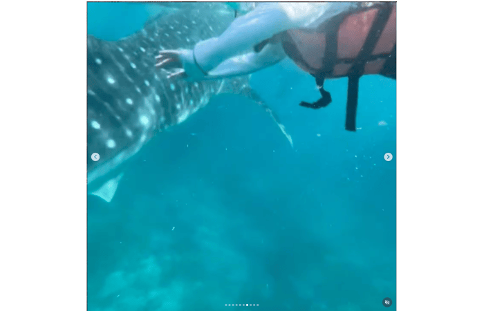 セブ島 ジンベイザメツアー 子連れ